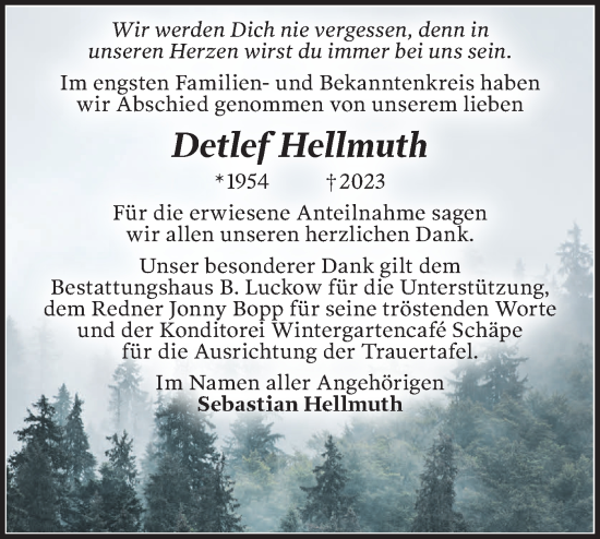 Traueranzeige von Detlef Hellmuth von Märkische Oderzeitung