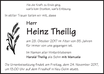 Traueranzeige von Heinz Theilig von Märkische Oderzeitung