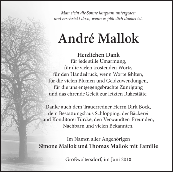 Traueranzeige von Andre Mallok von Märkische Oderzeitung