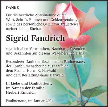 Traueranzeige von Sigrid Fandrich von Märkische Oderzeitung