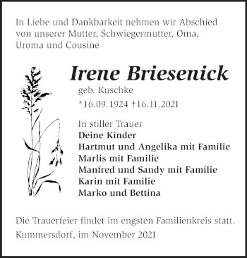 Traueranzeige von Irene Briesenick von Märkische Oderzeitung