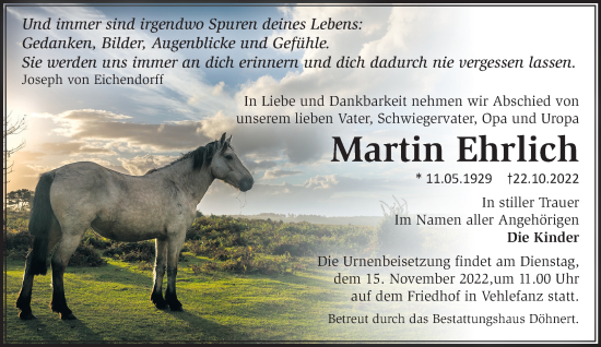 Traueranzeige von Martin Ehrlich von Märkische Oderzeitung