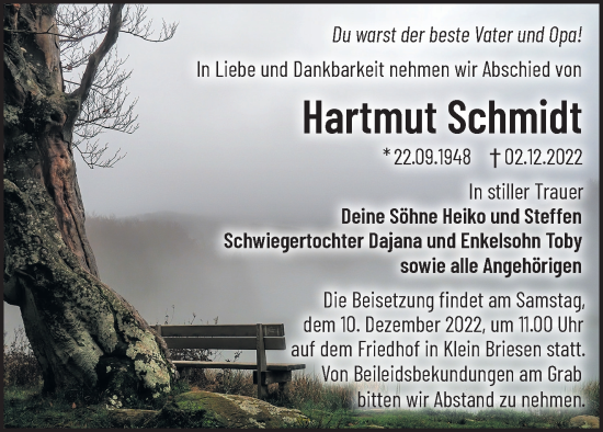 Anzeige Hartmut Schmidt
