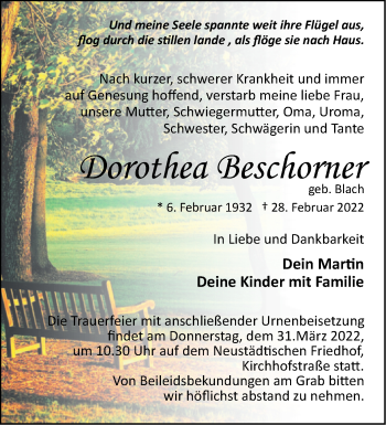 Traueranzeige von Dorothea Beschorner von Märkische Oderzeitung
