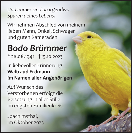 Traueranzeige von Bodo Brümmer von Märkische Oderzeitung