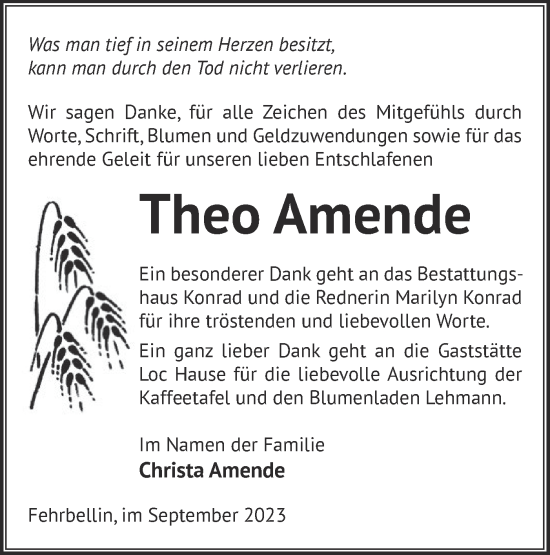 Traueranzeige von Theo Amende von Märkische Oderzeitung