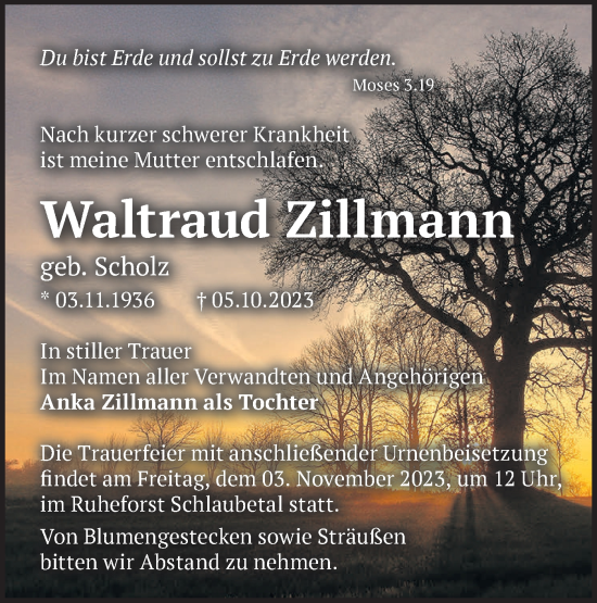 Traueranzeige von Waltraud Zillmann von Märkische Oderzeitung