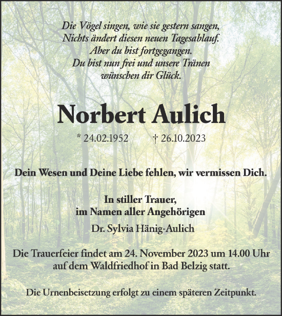 Traueranzeige von Norbert Aulich von Märkische Oderzeitung