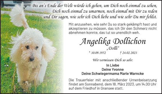 Traueranzeige von Angelika Dollichon von Märkische Oderzeitung