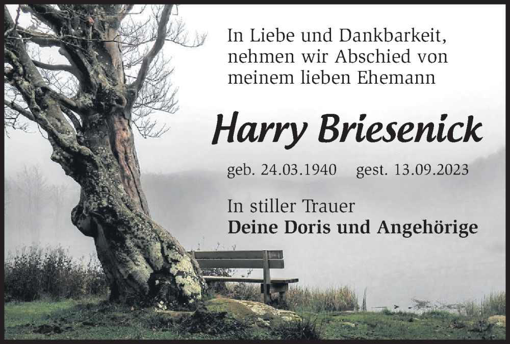  Traueranzeige für Harry Briesenick vom 23.09.2023 aus Märkische Oderzeitung