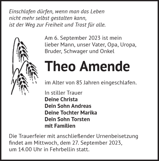 Traueranzeige von Theo Amende von Märkische Oderzeitung