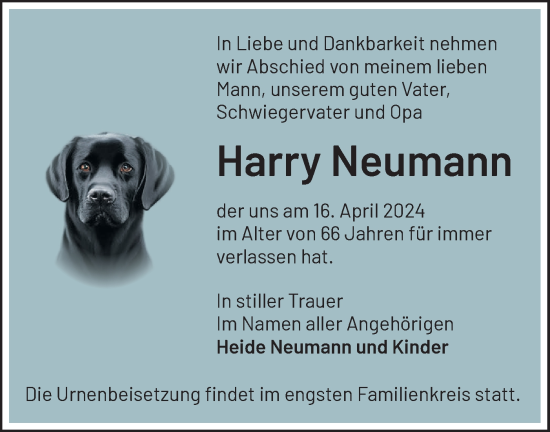 Traueranzeige von Harry Neumann von Märkische Oderzeitung