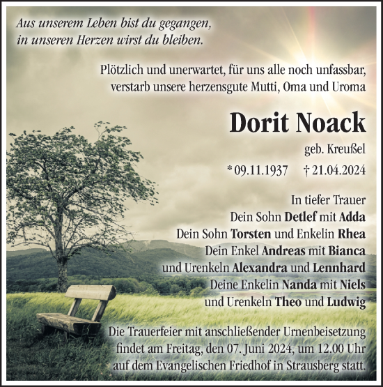 Traueranzeige von Dorit Noack von Märkische Oderzeitung