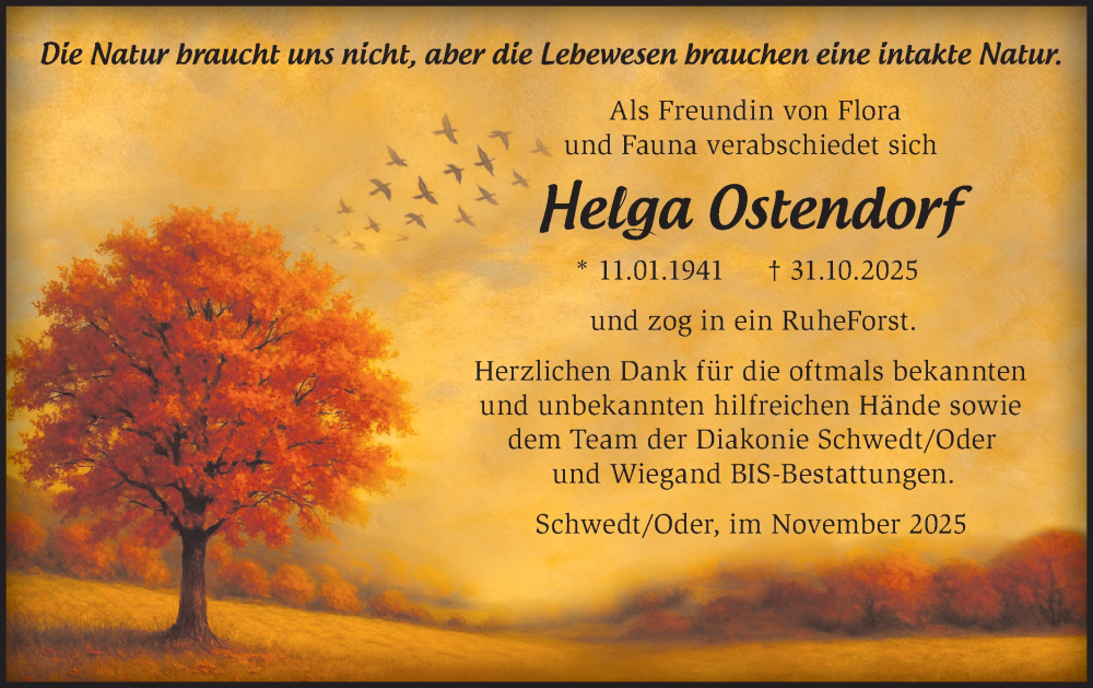  Traueranzeige für Helga Ostendorf vom 22.11.2025 aus MO Uckerm.-Anz.
