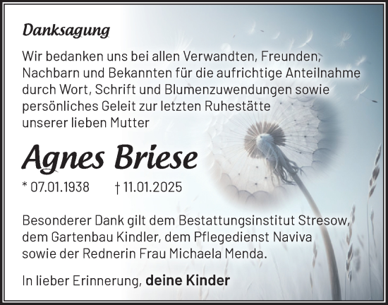 Traueranzeige von Agnes Briese von Märkische Oderzeitung