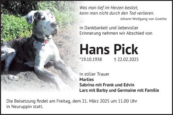Traueranzeige von Hans Pick von Märkische Oderzeitung