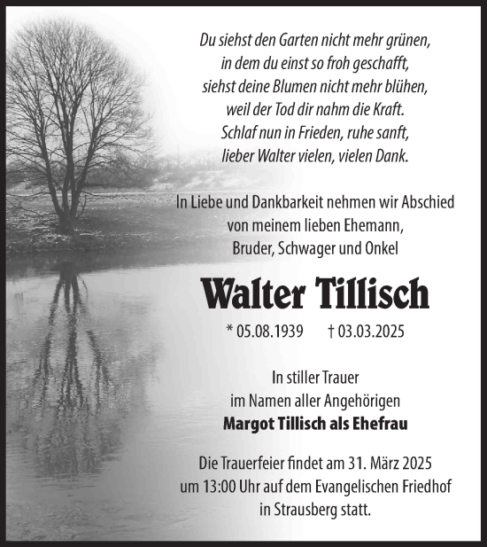 Traueranzeige von Walter Tillisch von Märkische Oderzeitung