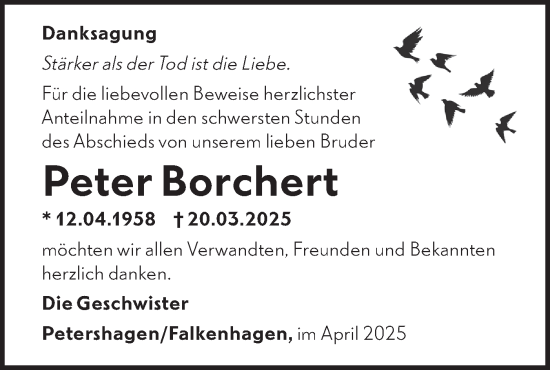 Traueranzeige von  Peter Borchert  von Märkische Oderzeitung
