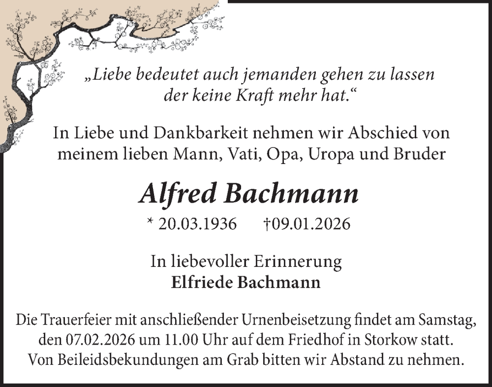  Traueranzeige für Alfred Bachmann vom 31.01.2026 aus Märkische Oderzeitung